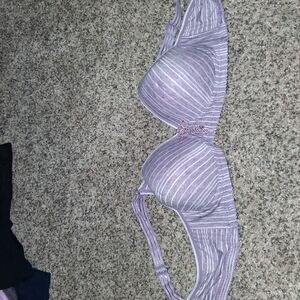 Striped Purple Bra